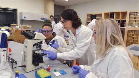 holyoke community college opens new center for life sciences businesswest