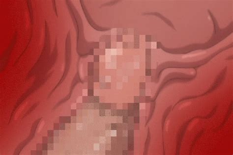 hentai womb cross section mega porn pics