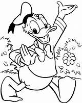 Donald Duck Coloring Pages Mickey Mouse Library Clipart Imagini Printable sketch template