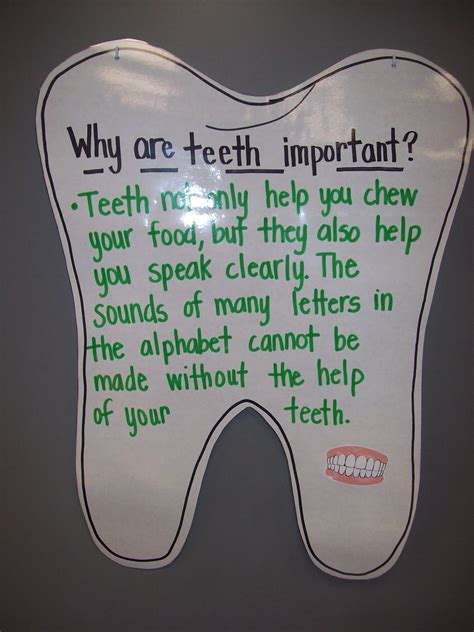 teaching  terhune dental health