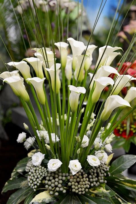 bouquet  white callas calla moon garden white flowers