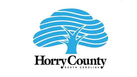 horry county government offices  close   tropical storm wbtw