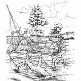 Clark Lewis Coloring Pages Hauling Boat Surfnetkids River sketch template