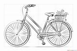 Draw Bicycle Drawing Coloring Bike Basket Step Pages Flower Flowers Supercoloring Sketch Mountain Tutorials Bicycles Printable Comments Work sketch template