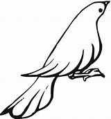 Dove Coloring Mourning Clipart Pages Printable Sheet Clipartbest sketch template