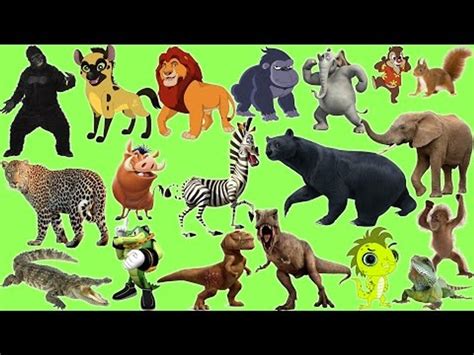 top  alphabet  animals merkantilaklubbenorg