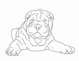 Pei Shar Hunde Zum Ausmalen Hunderassen Hund Malvorlage Schule sketch template