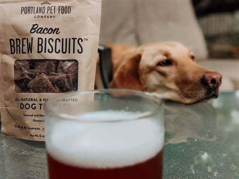 Brew Biscuits Upcycles Spent Grain—a Byproduct Of The Craft Brewing