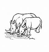 Coloring Pages Animal Rhino Rhinoceros Wild Printable Animals Kids Water Rhinos African Baby Hole Print Watering Sheets Color Drawing Clipart sketch template