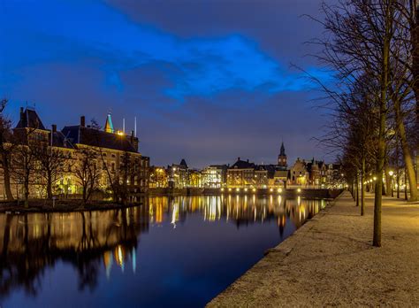 netherlands hofvijver  hague pond waterfront trees cities