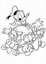 Pages Coloring Donald Cousin Disney sketch template
