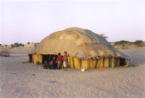 tuareg  nomadic tribe   sahara   tents