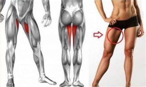 a toned inner thigh is a healthy inner thigh attractive and strong