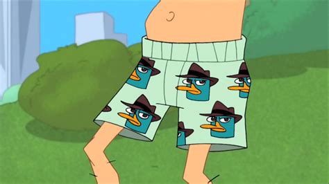 Image Doof S Agent P Underwear  Phineas And Ferb Wiki Fandom