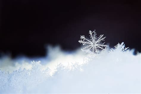 les differentes formes de flocons de neige