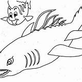 Shark Basking Wierd Designlooter sketch template