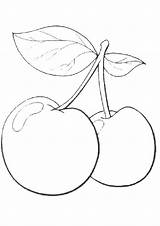 Frutas Cerezas sketch template