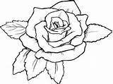 Red Rose Coloring Getdrawings Roses sketch template