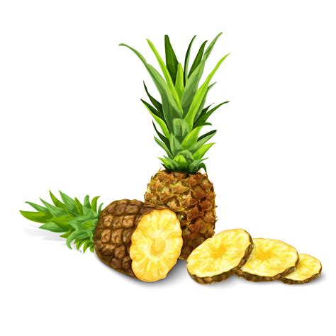 pineapple isolated poster  emblem  vector art  vecteezy