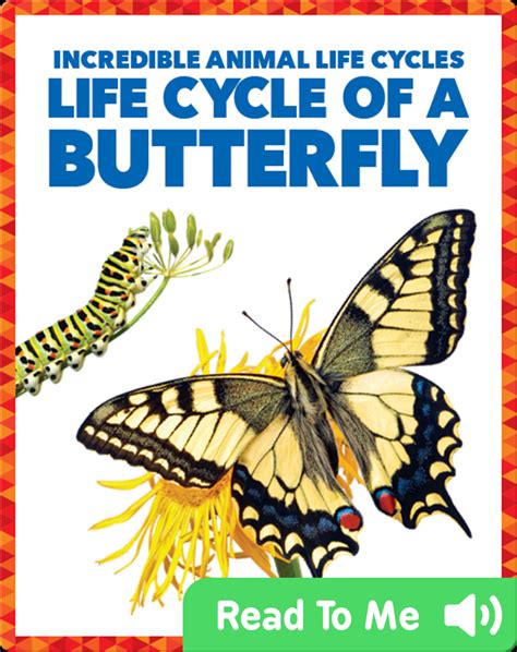 life cycle   butterfly childrens book  karen latchana kenney