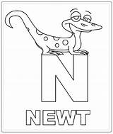 Newt Coloring Pages Color Animal Animals Designlooter Print Back 37kb sketch template