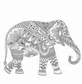 Coloring Pages Elephant Adults Colouring Adult Elephants Mindfulness Tribal Choose Board Zentangle Animal Sheets sketch template