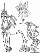 Coloring Unicorn Realistic Pages Popular sketch template