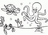 Coloring Pages Themed Underwater Quality High Print sketch template