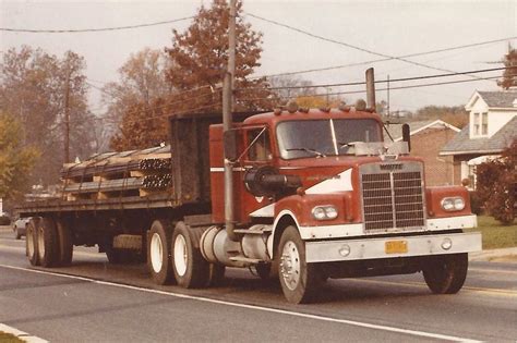 white western star early early western star    flickr