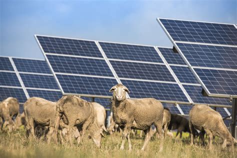 agrivoltaics blend solar  traditional farms responsibly agdaily