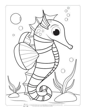 ocean animals coloring pages  kids animal coloring pages seahorse