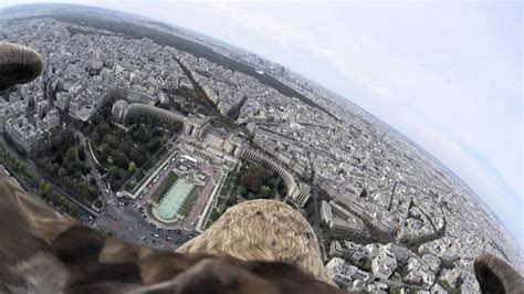 What Paris Looks Like From An Eagle’s Pov Twistedsifter