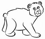Bear Coloring Pages Color Cartoon Drawing Draw Clipart Animal Line Brown Animals Family Cliparts Print Simple Jungle Clip Printable Little sketch template