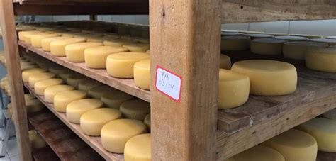 queijos clandestinos  selo arte ainda nao garante  venda nos estados chico junior brasil