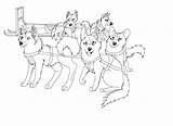 Sled Dog Team Dogs Cartoon Coloring Drawing Iditarod Lineart Race Pages Sledding Deviantart Teams Drawings Google Template Search Printable Sketch sketch template