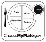 Myplate Coloring Usda Protein Charts Pyramid Grains Bw Suite101 sketch template