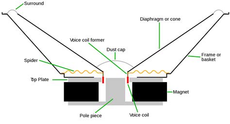 speaker suspensions  magnets explained audiofanzine