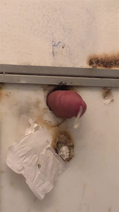 Me Fucking A Truck Stop Stall Glory Hole And Cumming