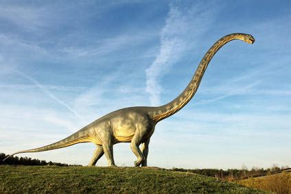 news paleontology   sauropod dinosaurs large size due  plant food latin