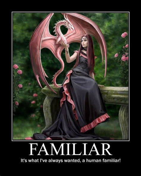 dandd meme fantasy dragon dragon art dragon artwork