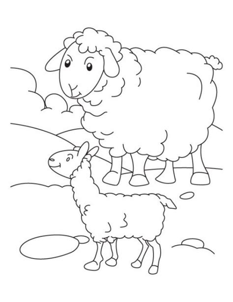 printable sheep coloring pages everfreecoloringcom