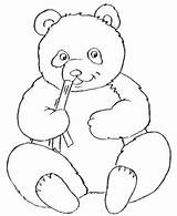 Panda Coloring Baby Pages Eating Bamboo Kids Cute Childrens sketch template