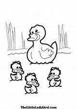 Duck Ducks Coloring Baby Pages Colouring Pond Duckling Drawing Wanted Printable Clipart Color Getdrawings Print Theme Getcolorings Kids Choose Board sketch template