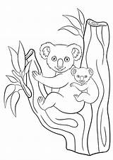 Koala Pages Coloring Cute Printable Getcolorings Color Getdrawings sketch template