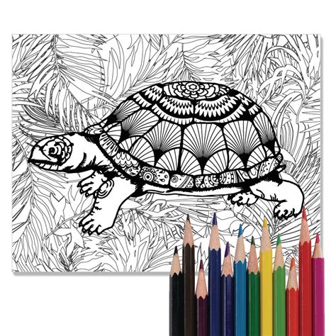 turtle coloring page coloring  adults coloring  kids etsy espana