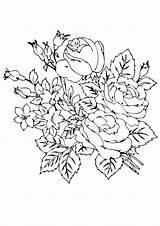 Coloring Flower Roses Beautiful Rose Pages Printable A4 Worksheets Flowers Color Parentune sketch template