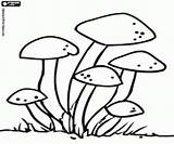 Coloring Fungi Hongos Oncoloring sketch template