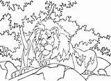 Lion Coloring Pages Printable Kids Animals Color Kleurplaat Leeuw Forest Drawing Lions Tree Ausmalbilder Print Dieren Kb Kleurplaten Choose Board sketch template