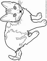 Siamese Warrior Getcolorings Getdrawings Cica Kifesto Dog Books Katten Colorings sketch template