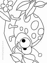 Ladybug Coloring Pages Kids Print Color Printable Cute Getdrawings Cat Animals sketch template